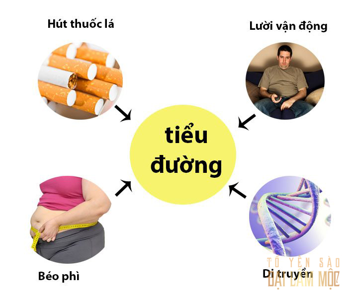 Người Bị Bệnh Tiểu Đường Có Ăn Tổ Yến Sào Được Không