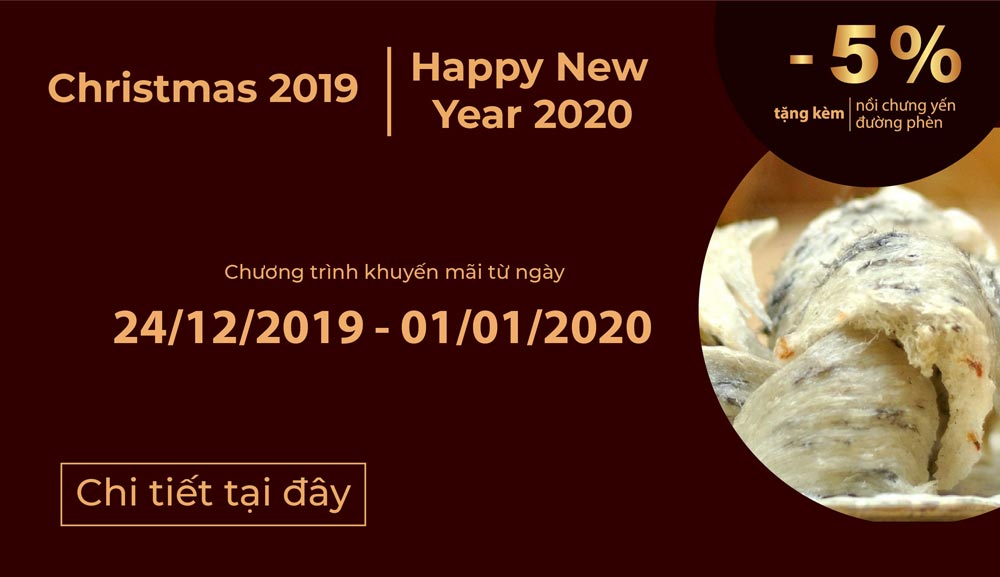  Christmas 2019-New year 2020